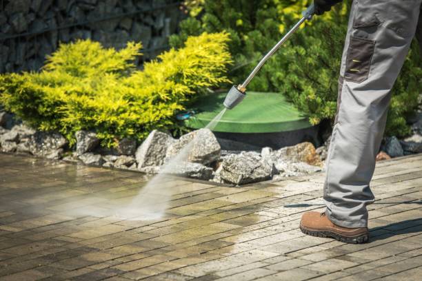 Best Sidewalk and Walkway Cleaning  in Spring Valley Lake, CA